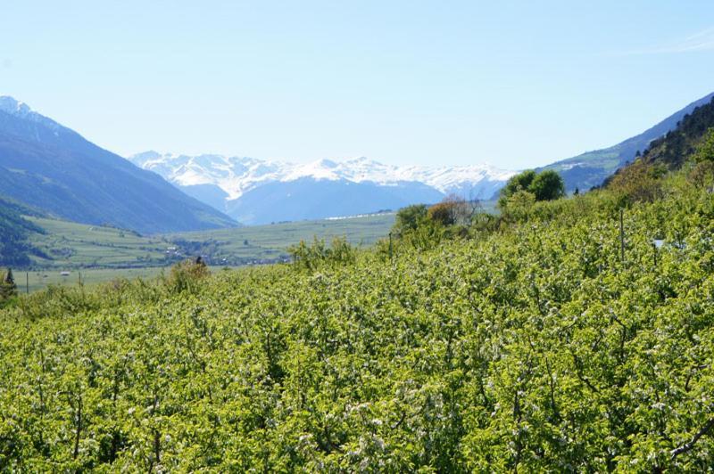 فندق Alpenresidenz Maria سيلاندرو المظهر الخارجي الصورة